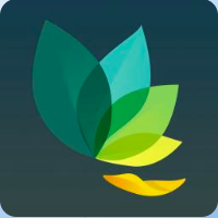 screen-shot-2018-06-13-at-8-53-54-am